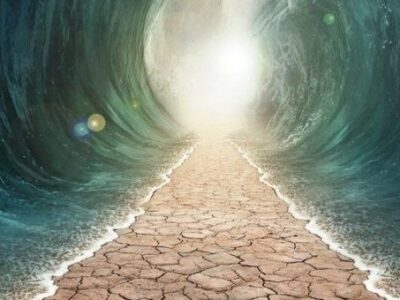 Self-Actualization in Action: Moving Beyond Fear, Doubt, and the Past